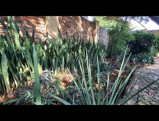 3 BEDROOM HOUSE FOR SALE IN PRETORIA GARDENS